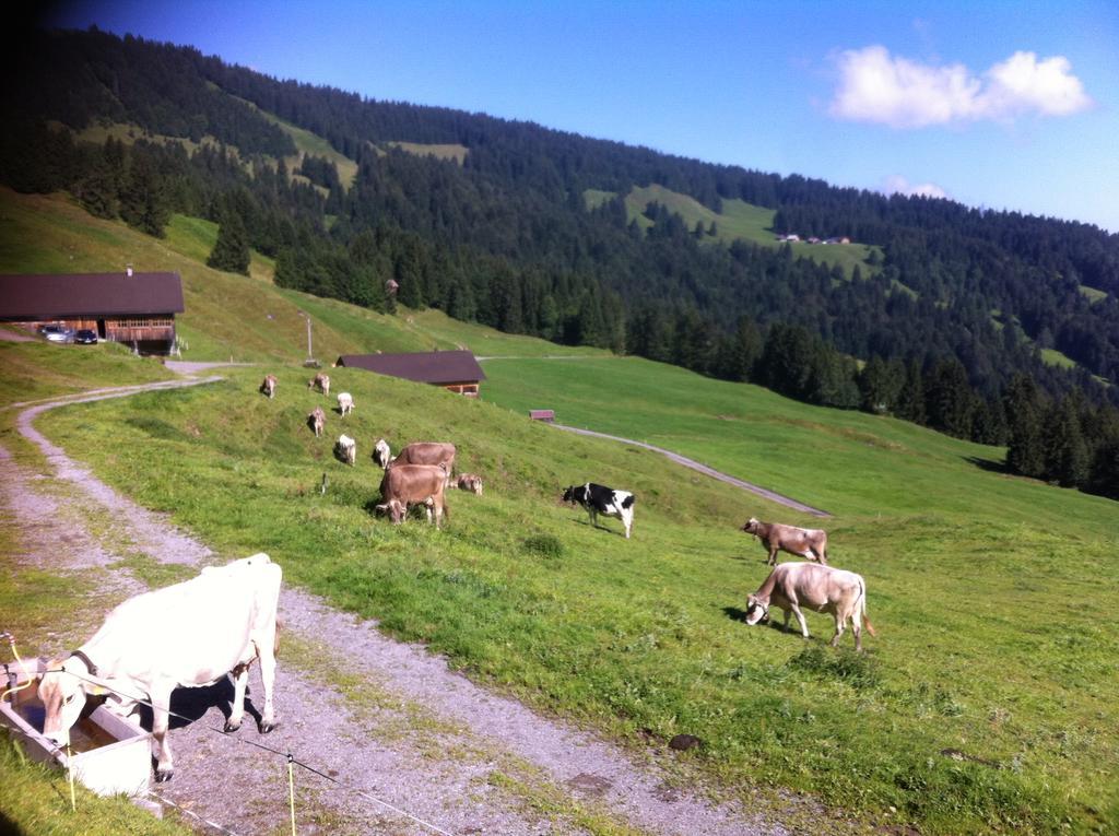Unser Vorsaess - Klausberg Schwarzenberg im Bregenzerwald Kültér fotó